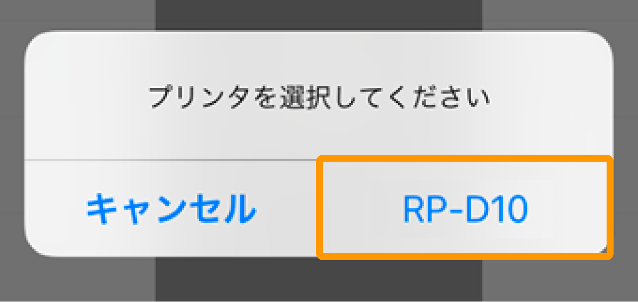 02 Airペイ ポイント プリンタを選択してください RP-D10