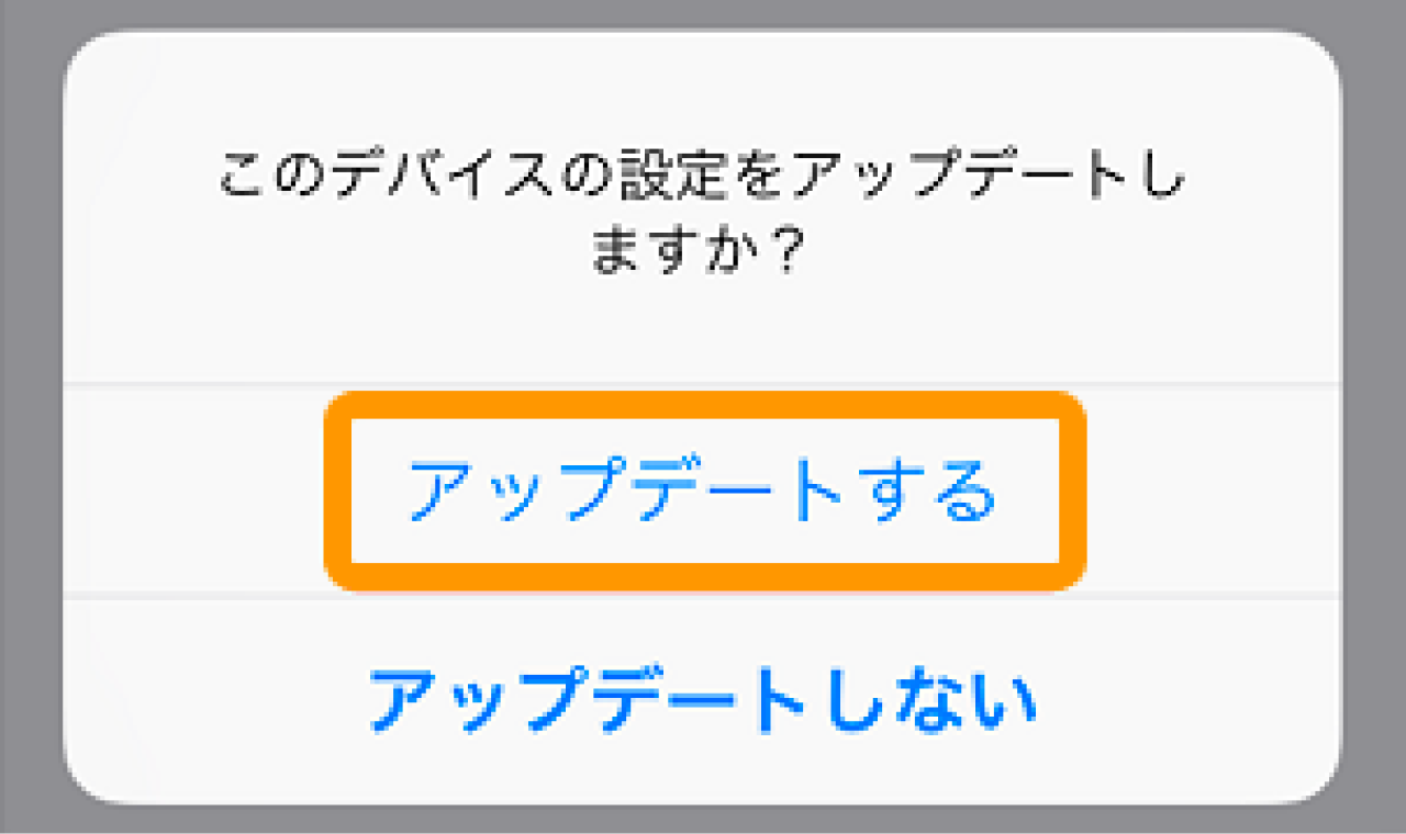 04 Airペイポイント このデバイスの設定をアップデートしますか？ アップデートする